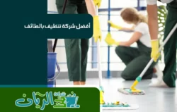 شركة تنظيف بالطائف