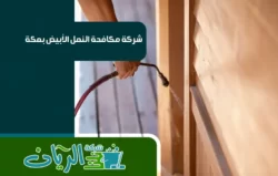 شركة مكافحة حشرات بمكه