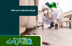 شركة مكافحة حشرات بمكه