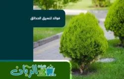 شركة تنسيق حدائق بالطائف