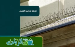 شركة تركيب طارد الحمام بالطائف