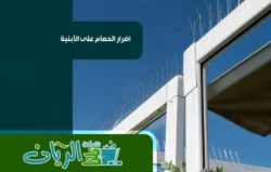 شركة تركيب طارد الحمام بمكة