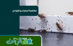 شركة مكافحة الصراصير بجدة